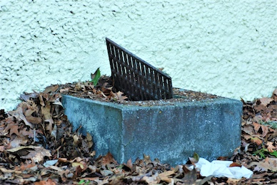 drain blocked with leaves