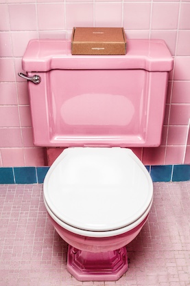 pink toilet with lid down